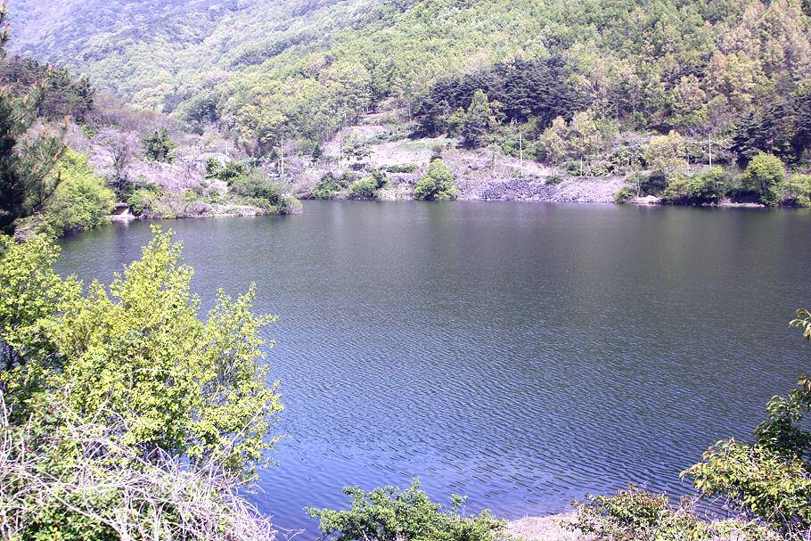경산청도권 저수지 모습산란과 안정이 혼재한듯 (조황조행기 - 특파원조황)