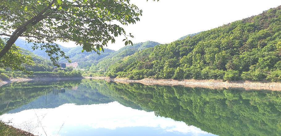 5짜와 함께하는 5월의 조황안내 (조황조행기 - 특파원조황)