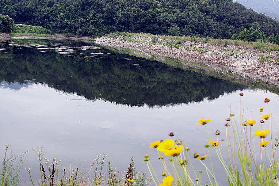 장마의 시작비오기 직전 저수지 상황 (조황조행기 - 특파원조황)