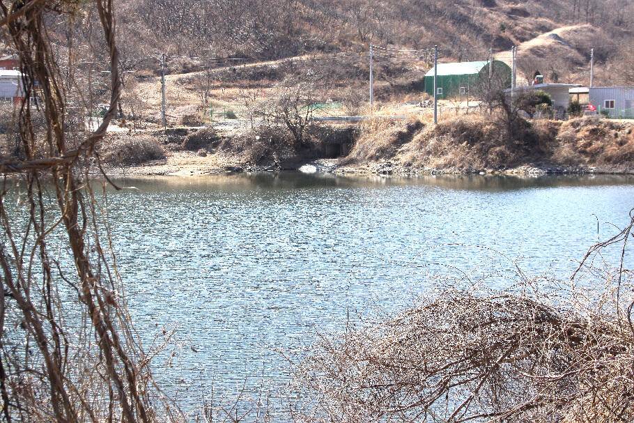 기다리던 봄어느듯 산란철 (조황조행기 - 특파원조황)
