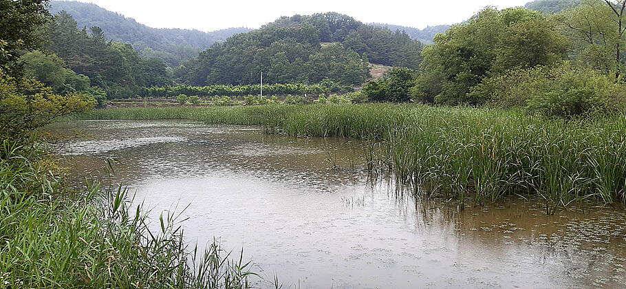 7월첫장마비 후 저수지 상황 (조황조행기 - 특파원조황)