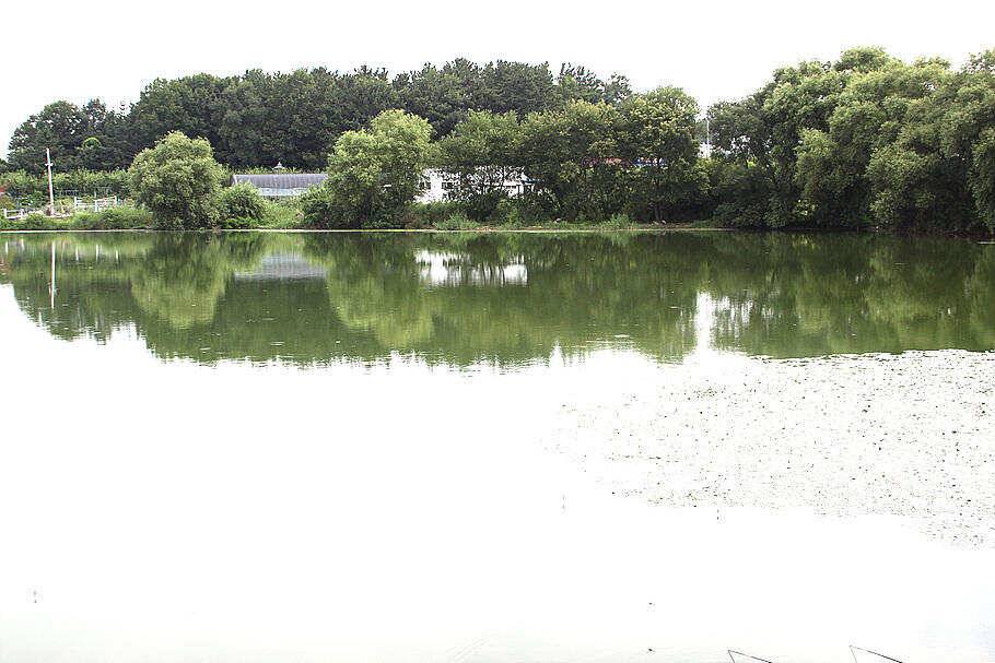 장마끝자락만수위의 저수지를 둘러 보면서 (조황조행기 - 특파원조황)