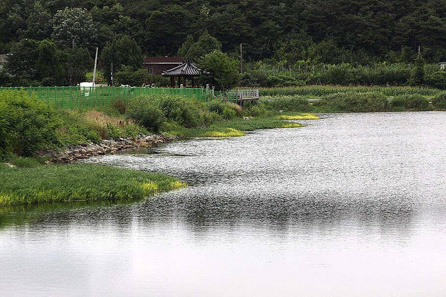 삼복더위의 시작영천권 둘러보기 (조황조행기 - 특파원조황)