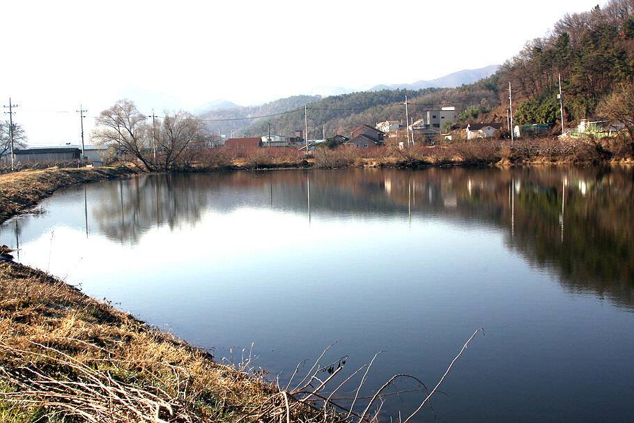 한해 시즌을 마감하는 조황안내 입니다 (조황조행기 - 특파원조황)