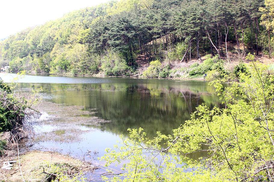 경산청도권 저수지 모습산란과 안정이 혼재한듯 (조황조행기 - 특파원조황)