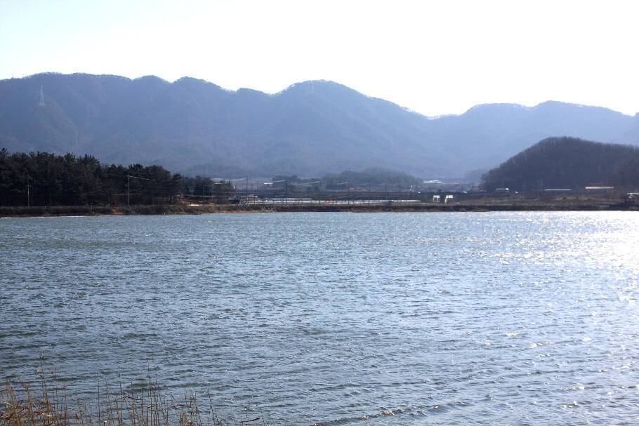 낚동에서 겨울소식 전합니다 (조황조행기 - 특파원조황)