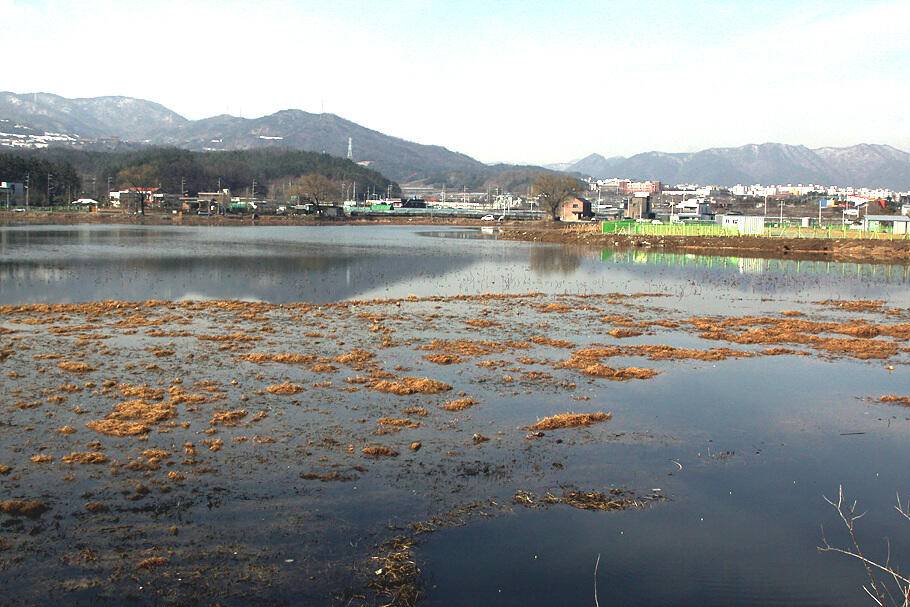 대구경산권 조황안내시즌의 시작 (조황조행기 - 특파원조황)