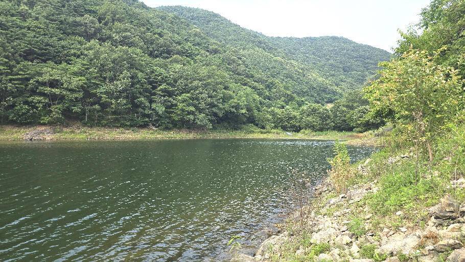 한여름의 조황안내 (조황조행기 - 특파원조황)