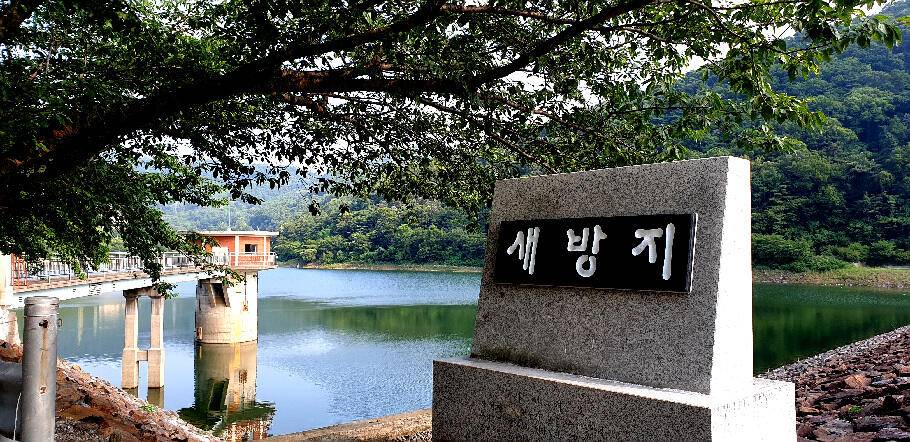 한여름의 조황안내 (조황조행기 - 특파원조황)