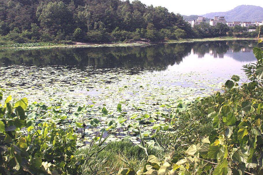 여름낚시의 시작장마를 앞두고 (조황조행기 - 특파원조황)