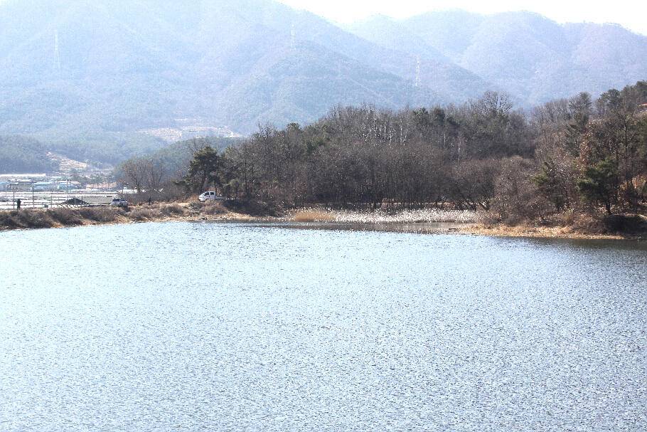 기다리던 봄어느듯 산란철 (조황조행기 - 특파원조황)