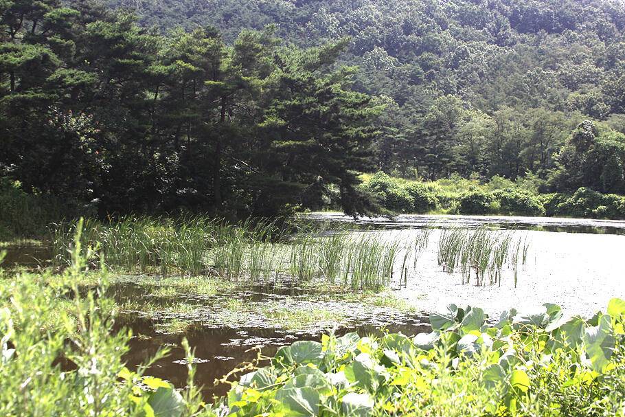 무더운 7월말의 조황안내 입니다 (조황조행기 - 특파원조황)