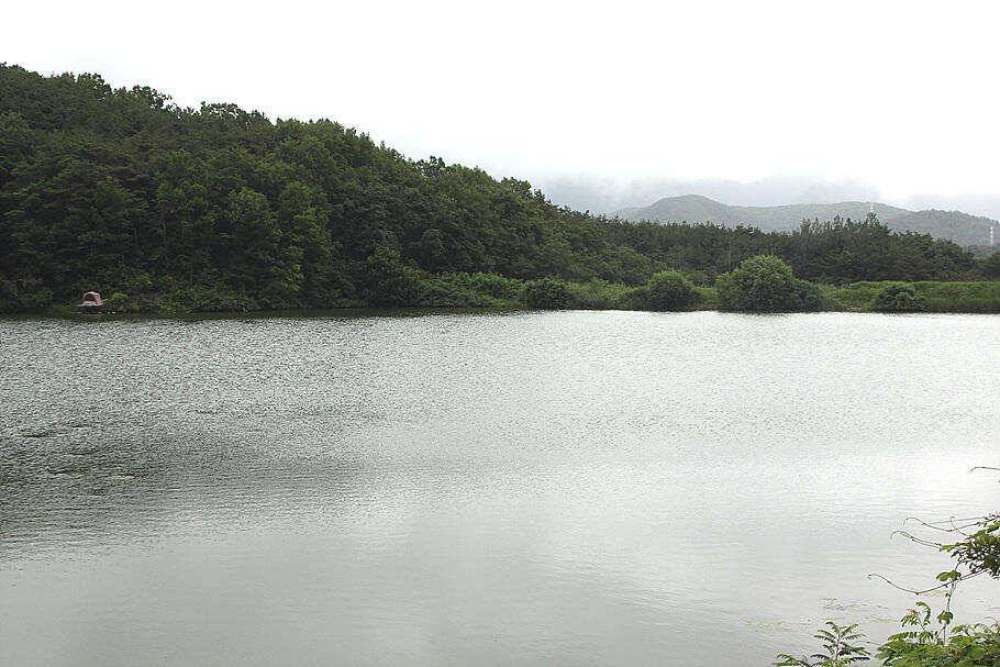 삼복더위의 시작영천권 둘러보기 (조황조행기 - 특파원조황)