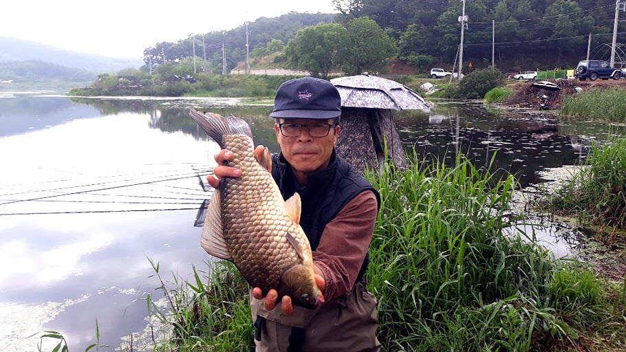 가는봄오는여름5월을 보내면서 (조황조행기 - 특파원조황)