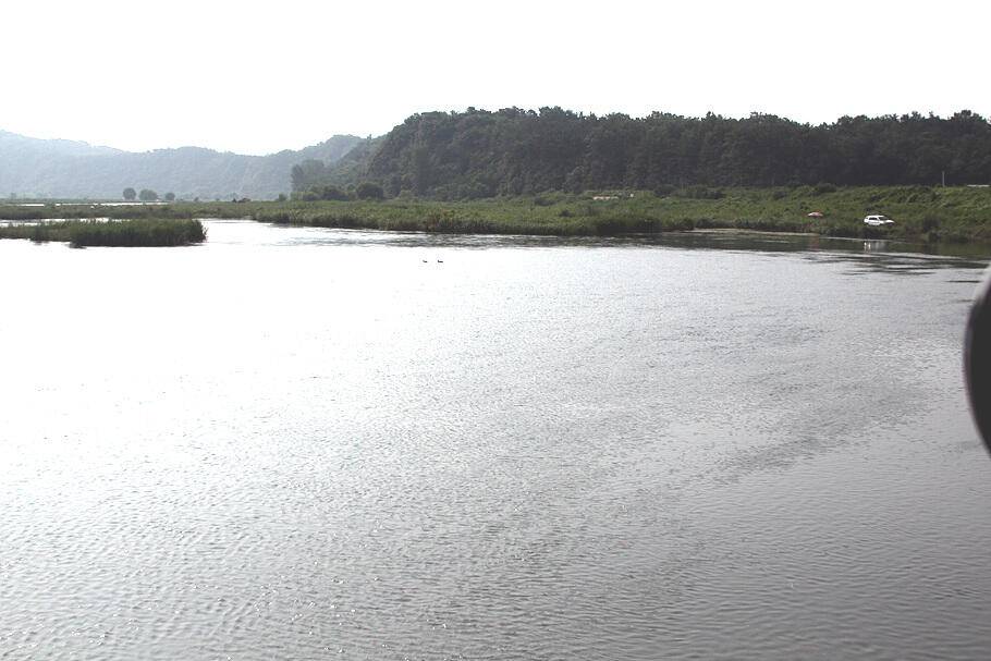 아직도 장마저수지 분위기 전합니다 (조황조행기 - 특파원조황)