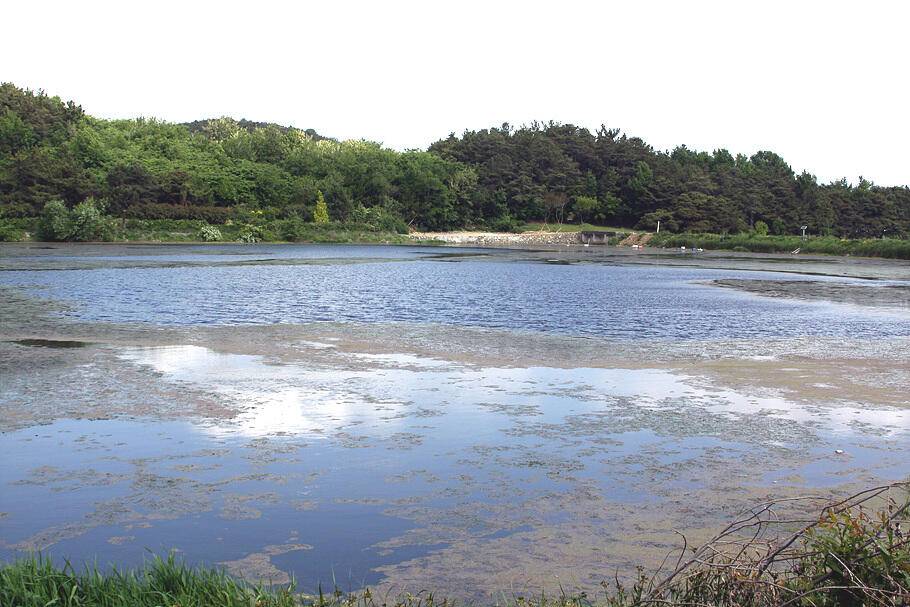 낚시하기 좋은때5월 중순의 조황안내 입니다 (조황조행기 - 특파원조황)