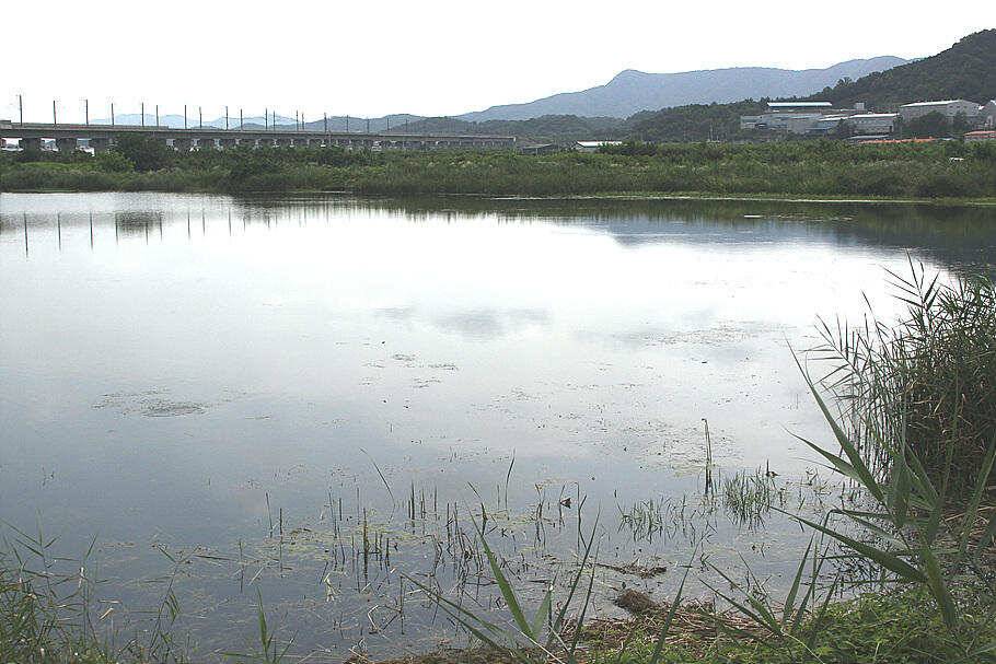 장마끝자락만수위의 저수지를 둘러 보면서 (조황조행기 - 특파원조황)