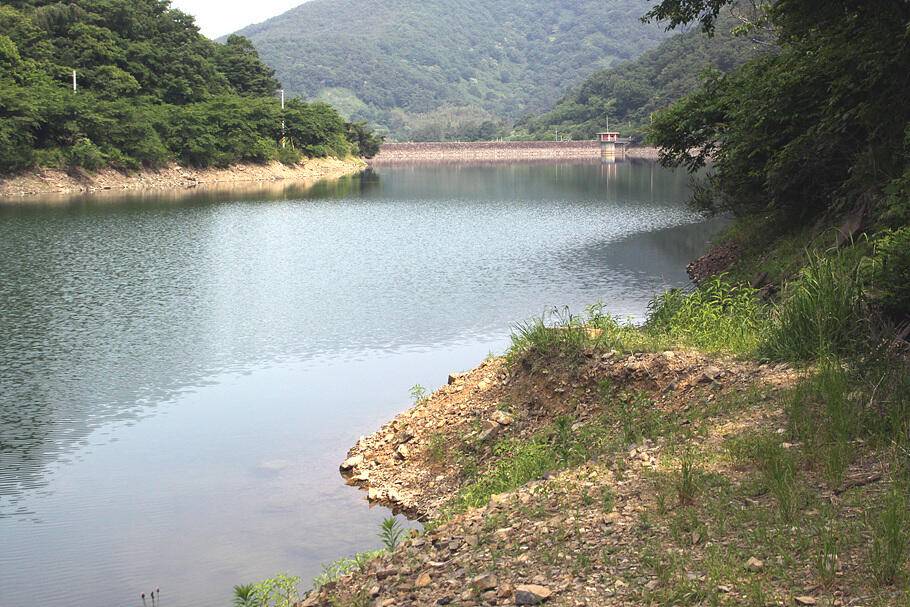 여름낚시의 시작유월의 조황안내 입니다 (조황조행기 - 특파원조황)
