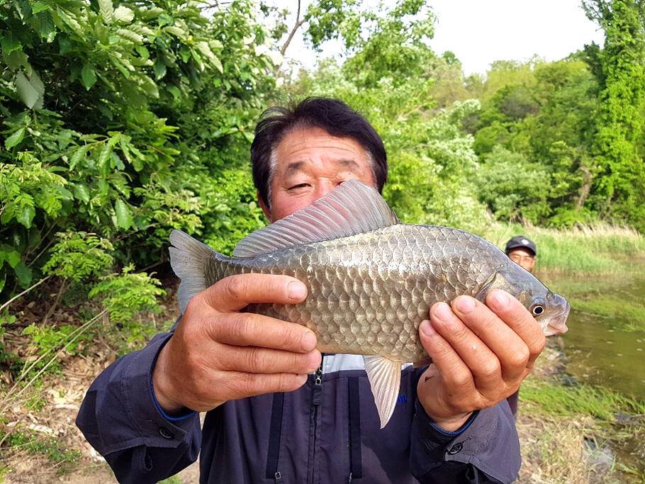 낚시하기 좋은때5월 중순의 조황안내 입니다 (조황조행기 - 특파원조황)