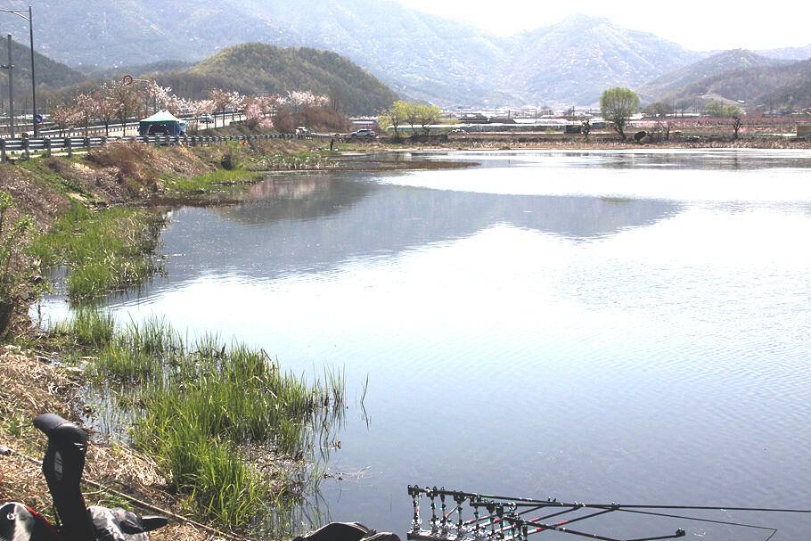 4월의 부푼마음으로 산란철 조황안내 (조황조행기 - 특파원조황)