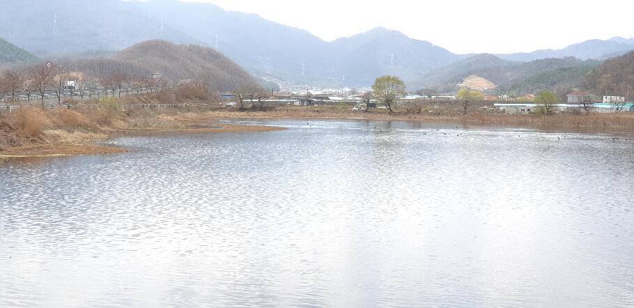봄내음 가득한 저수지 모습 (조황조행기 - 특파원조황)
