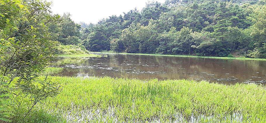 장마끝자락만수위의 저수지를 둘러 보면서 (조황조행기 - 특파원조황)
