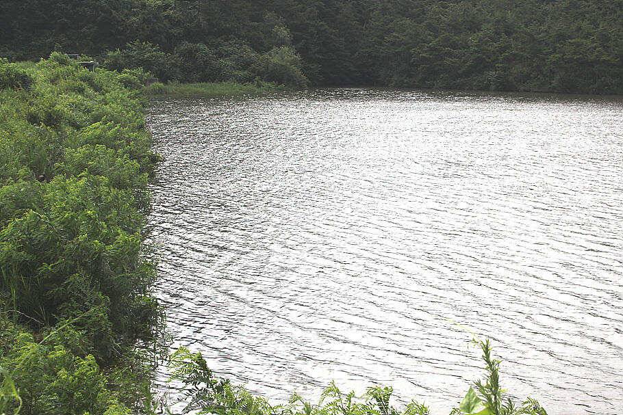 장마끝자락만수위의 저수지를 둘러 보면서 (조황조행기 - 특파원조황)