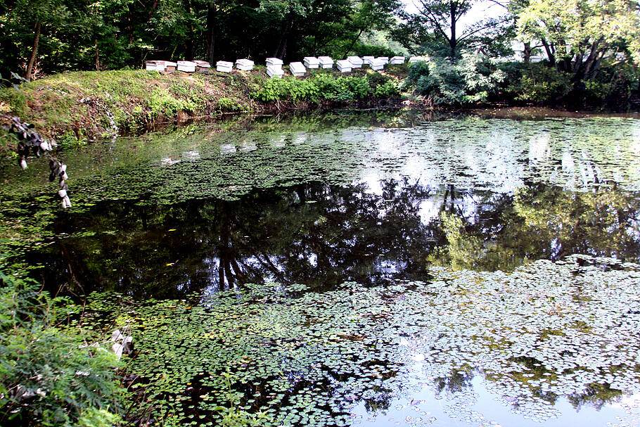무더운 7월말의 조황안내 입니다 (조황조행기 - 특파원조황)