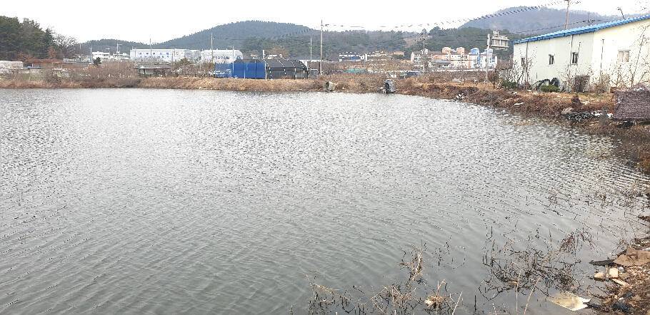 새로운 출발점에 선 3월의 조황 안내 입니다 (조황조행기 - 특파원조황)