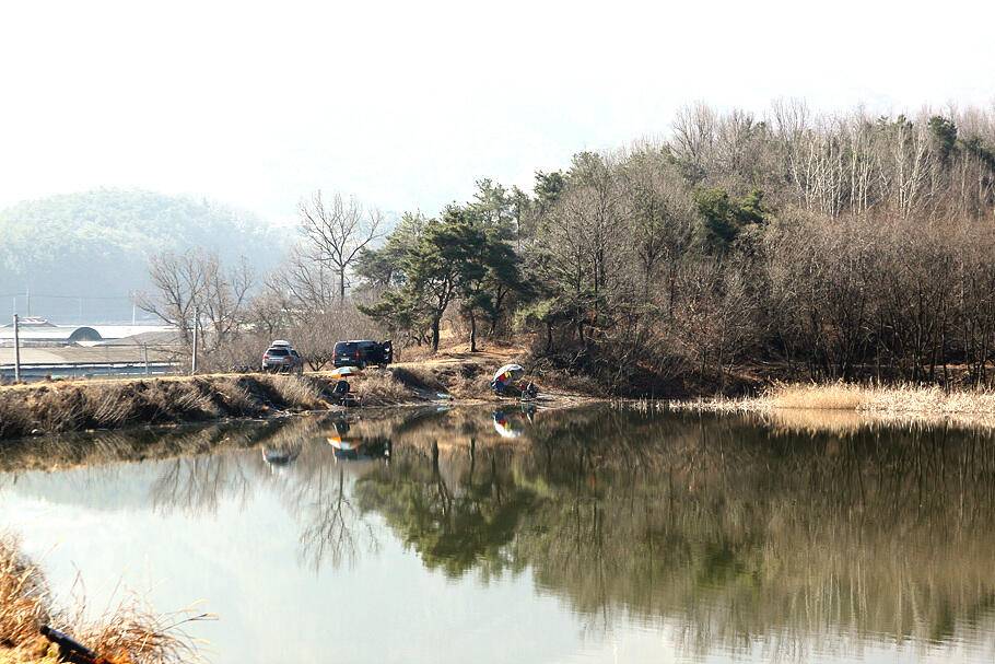 대구경산권 조황안내시즌의 시작 (조황조행기 - 특파원조황)