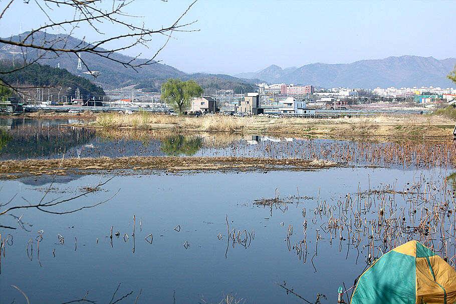 봄꽃향기그윽한 3월 마지막주 조황안내 (조황조행기 - 특파원조황)