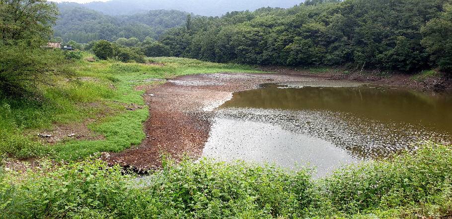 한풀꺽인 더위가까워진 시즌 (조황조행기 - 특파원조황)