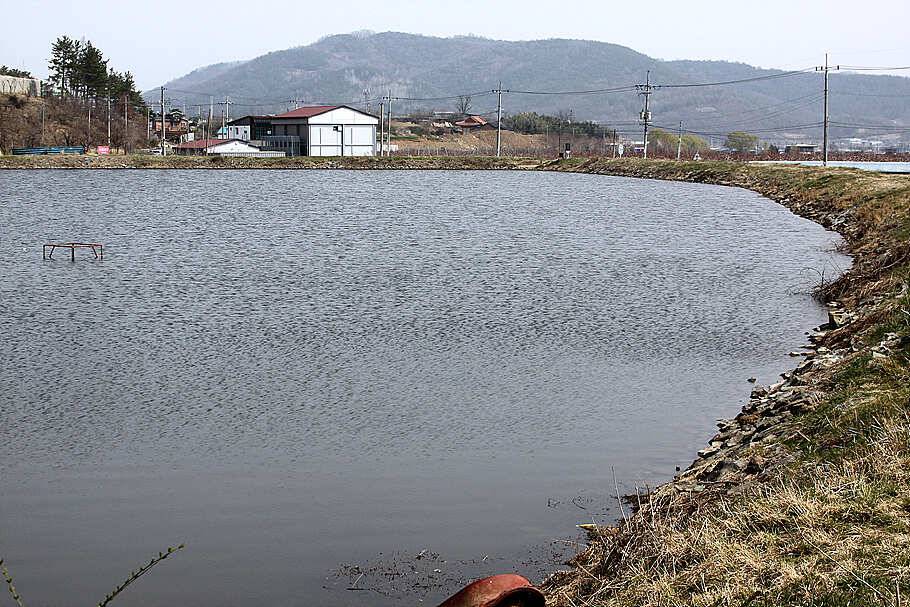 산란기온화한 4월을 기다리며 (조황조행기 - 특파원조황)