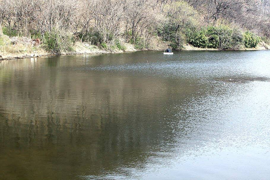 산란기온화한 4월을 기다리며 (조황조행기 - 특파원조황)
