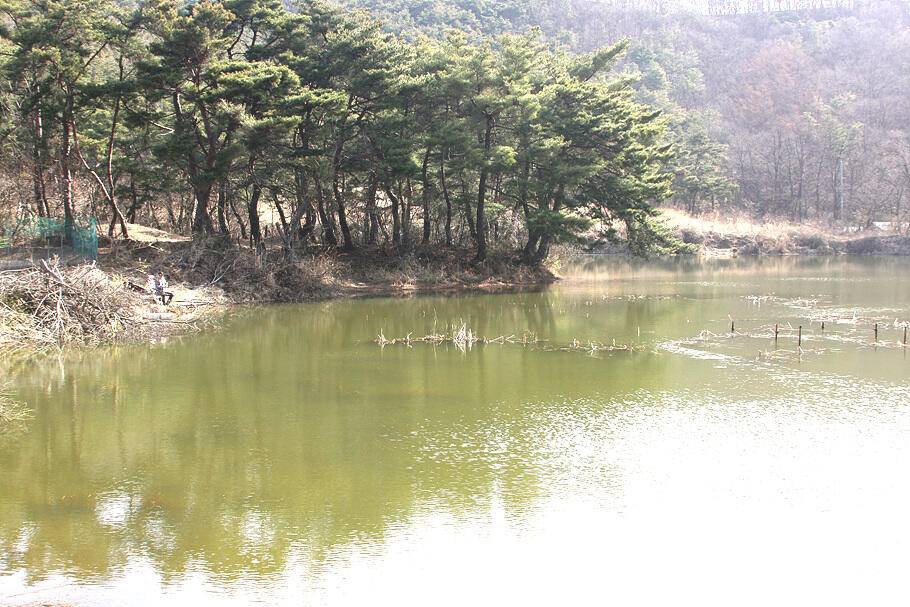 대구경산권 조황안내산란철 도래 (조황조행기 - 특파원조황)