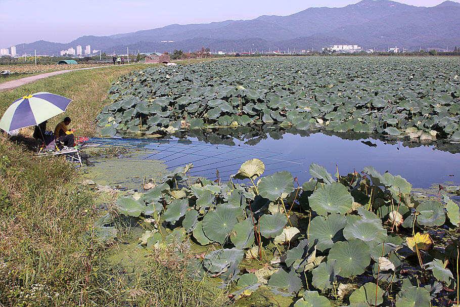 추분과 타파가 지난뒤 저수지 분위기 (조황조행기 - 특파원조황)