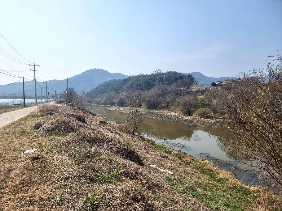 봄내음 가득한 저수지 모습 (조황조행기 - 특파원조황)