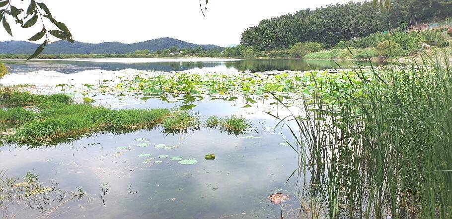 낚시가 갑인듯연일 폭염예보 (조황조행기 - 특파원조황)