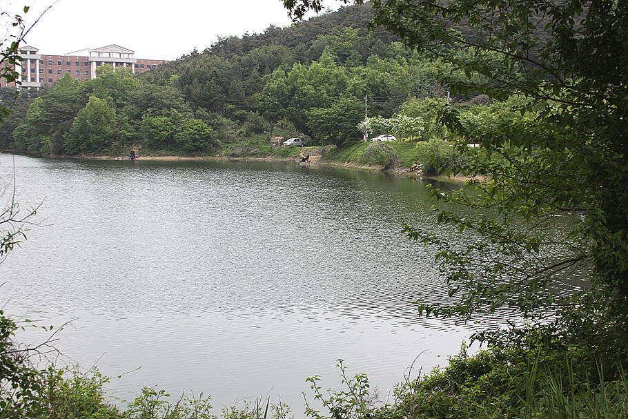 걸면 대물의 계절가정의 달에 드리는 조황안내 (조황조행기 - 특파원조황)