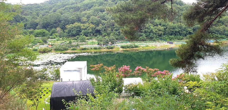 낚시가 갑인듯연일 폭염예보 (조황조행기 - 특파원조황)