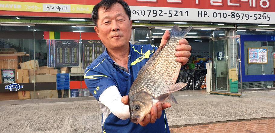 삼복지절 조황안내늦 장마에 라도 거는 기대 (조황조행기 - 특파원조황)