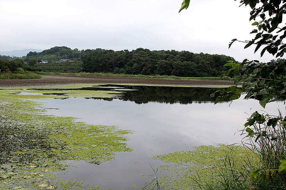 pro_johwang_09ef2_092452_37869.jpg