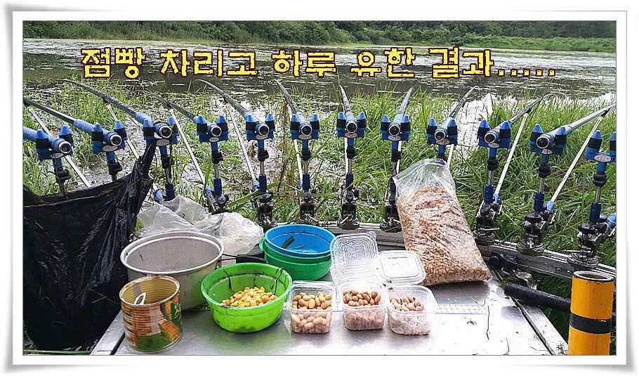 휴가와 피서한여름 낚시의 시작 (조황조행기 - 특파원조황)