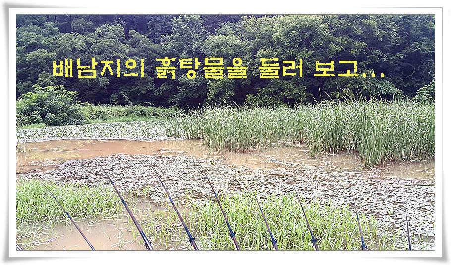 휴가와 피서한여름 낚시의 시작 (조황조행기 - 특파원조황)