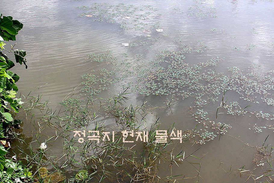 휴가와 피서한여름 낚시의 시작 (조황조행기 - 특파원조황)