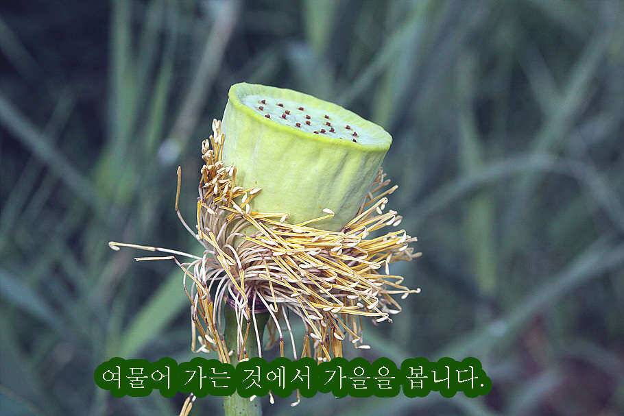 pro_johwang_0f461_095135_27002.jpg