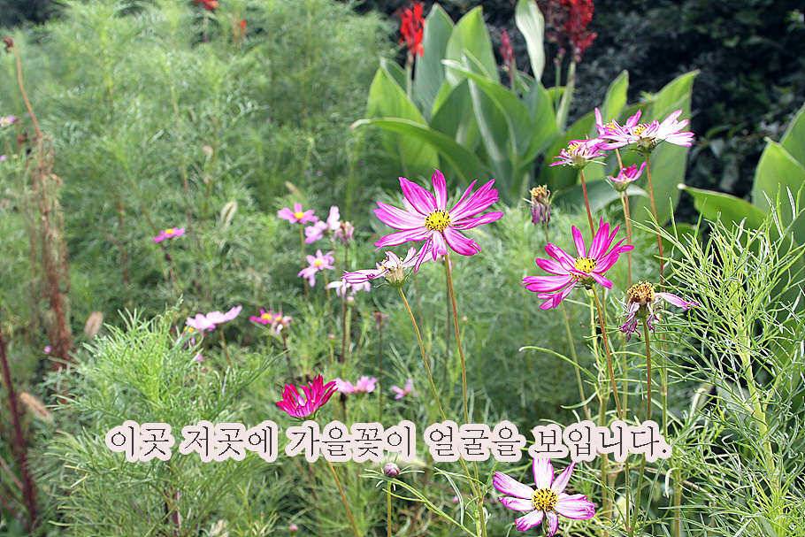 pro_johwang_10679_100212_38722.jpg