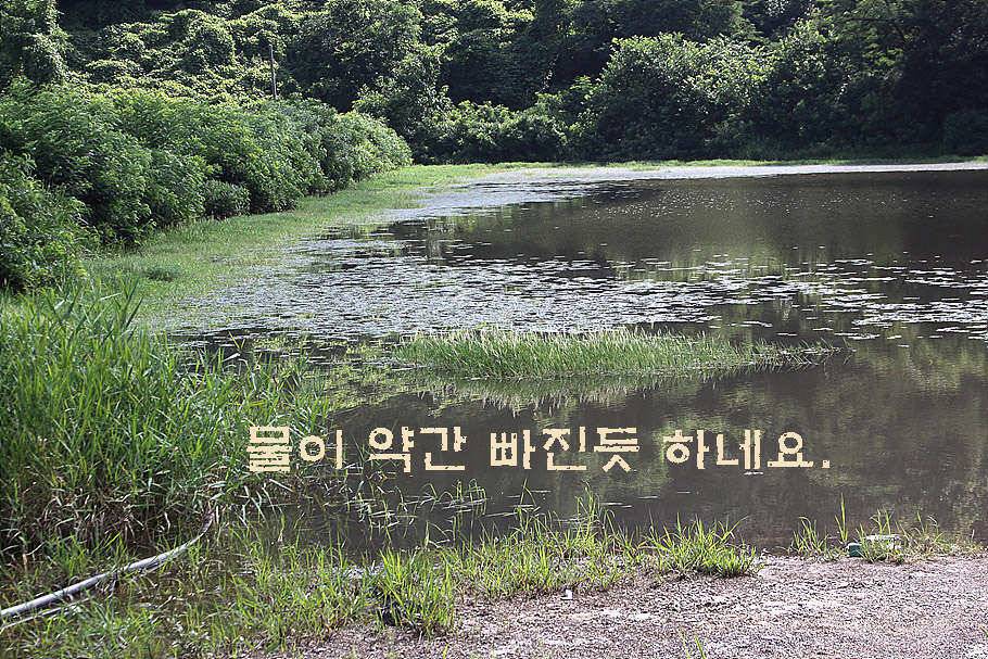 휴가와 피서한여름 낚시의 시작 (조황조행기 - 특파원조황)