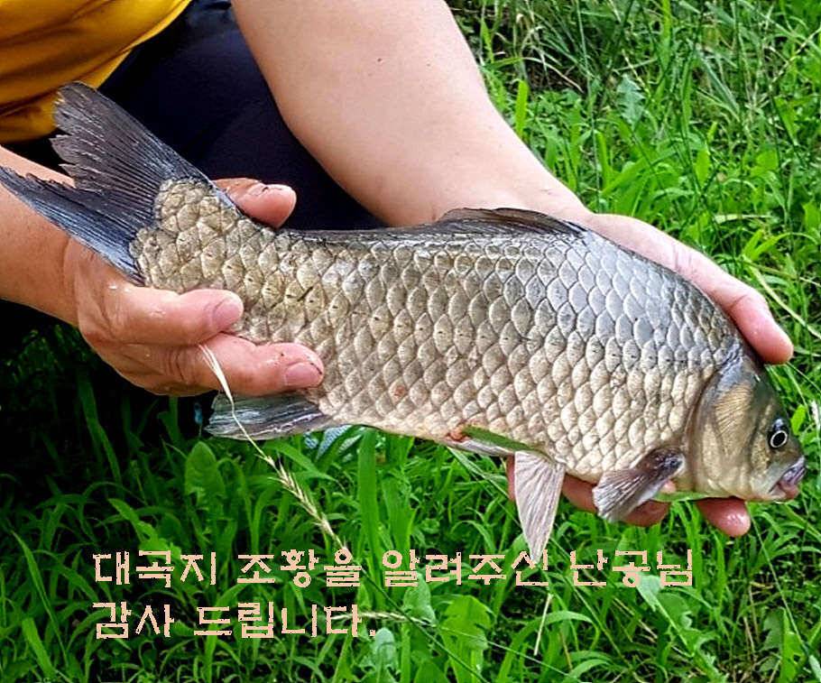 휴가와 피서한여름 낚시의 시작 (조황조행기 - 특파원조황)