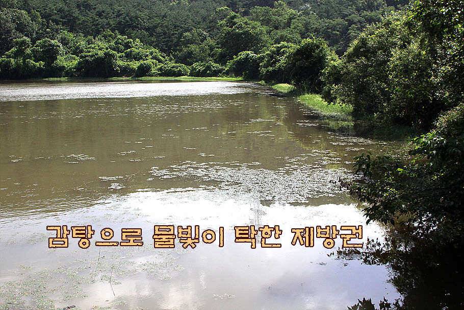 휴가와 피서한여름 낚시의 시작 (조황조행기 - 특파원조황)